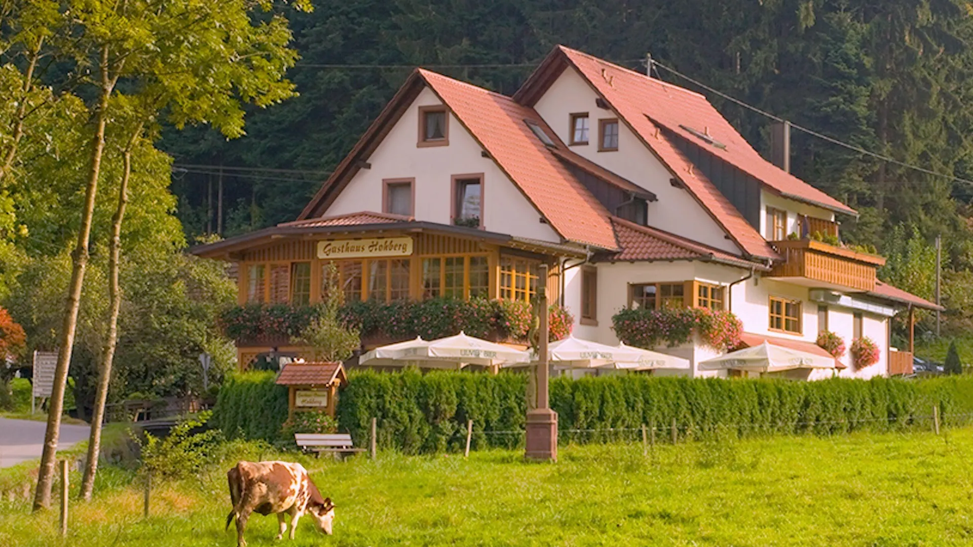 4 Romantische Hotels im Rheingau für Paare