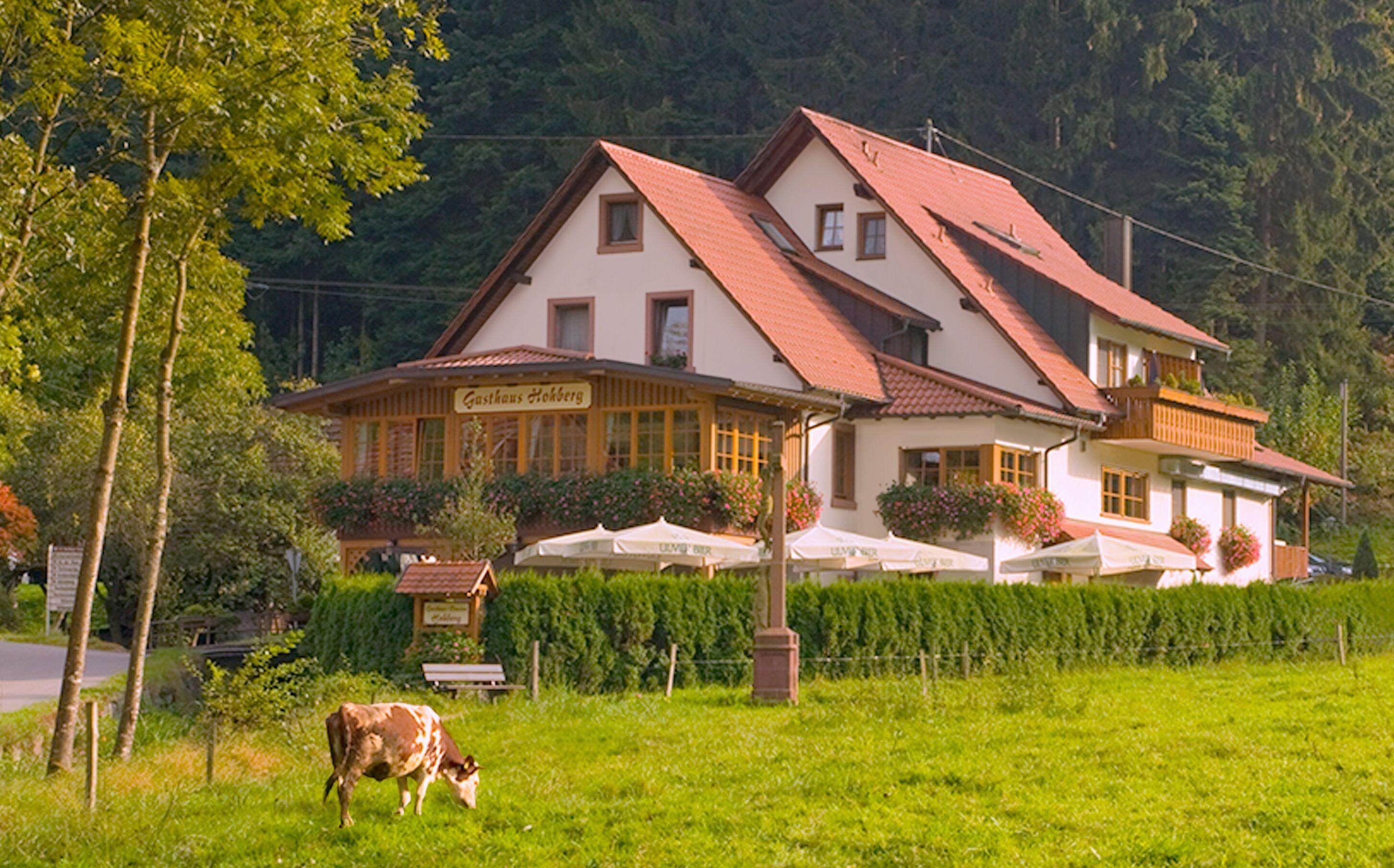 4 Romantische Hotels im Rheingau für Paare